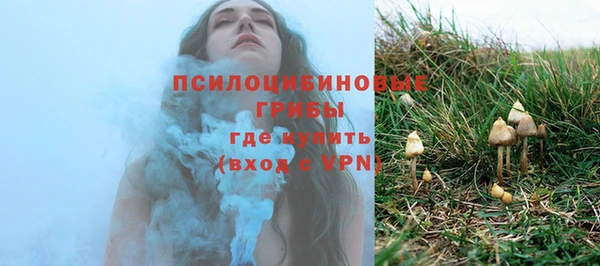 прущие крисы Арсеньев