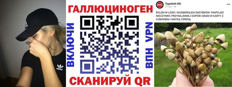 Псилоцибиновые грибы MAGIC MUSHROOMS  где купить наркоту  Аша 